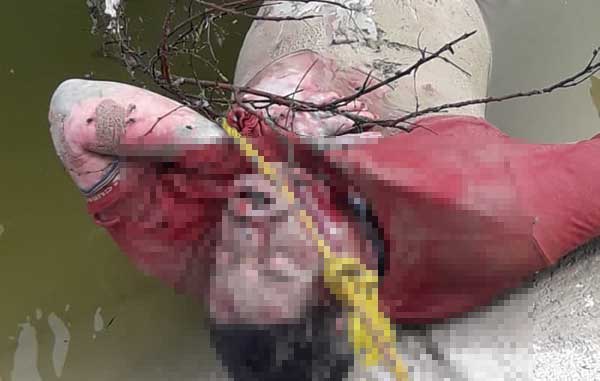 Rescatan el cadáver de un hombre en el canal Rodhe 1 1 28