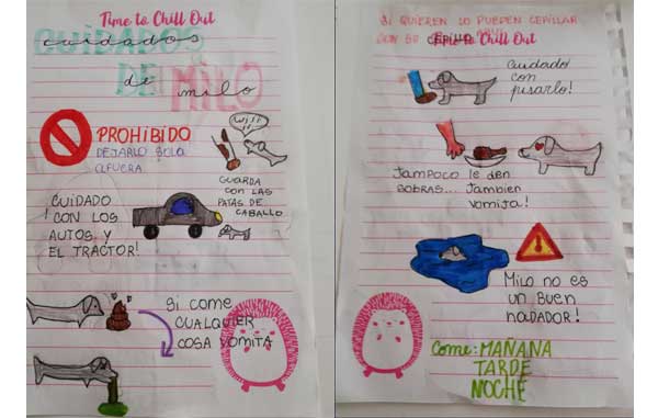 Manual de instrucciones para cuidar a 'Milo' se viraliza en redes sociales 2 135