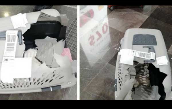 Hombre destroza jaula de su mascota y culpa a Volaris 1 2 6