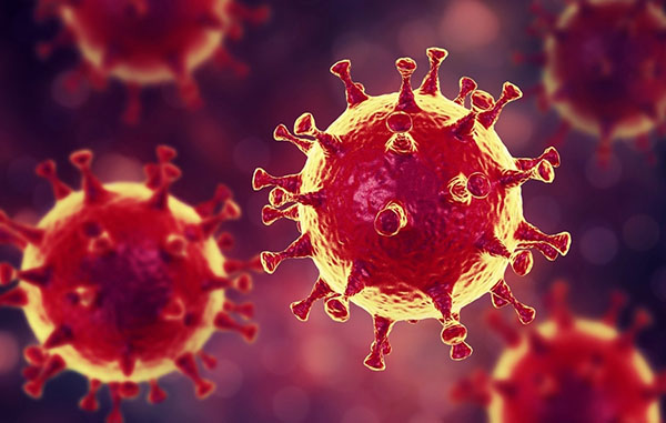 corona virus
