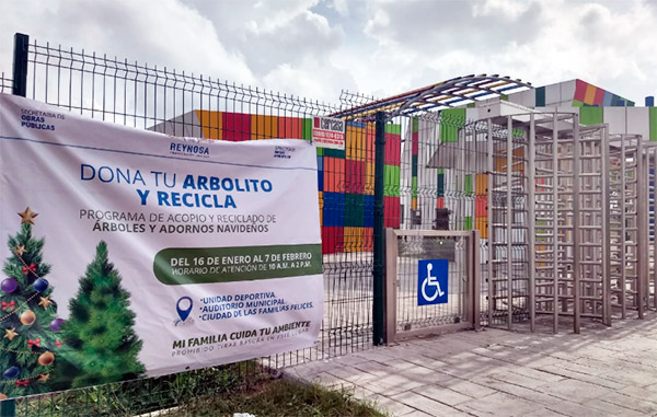 Responden a llamado del Municpio para preservar el medio ambiente 2 pino2