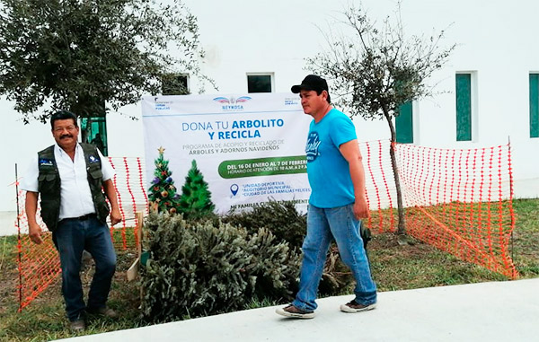 Responden a llamado del Municpio para preservar el medio ambiente 1 pinos1