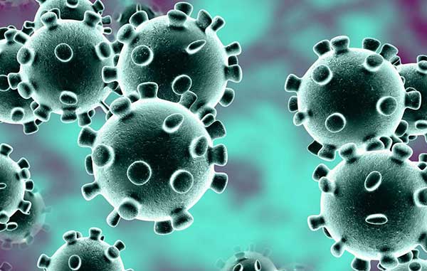 virus