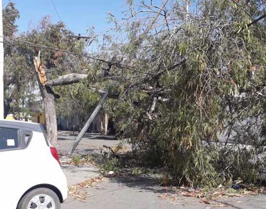 Fuertes vientos azotan la zona conurbada de Monterrey 2 2 11