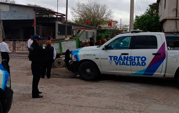 Protege Municipio a animales usados para estirar carretones 2 3 15