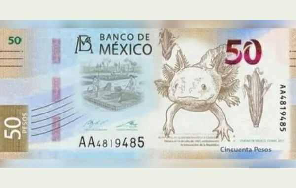Billete-de-50