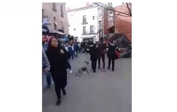 PERRO