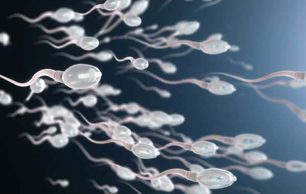 Esperma ‘fuerte’ podría embarazar a mujeres en alberca, asegura funcionaria 1 esperma