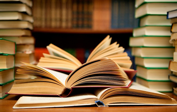 Festiba: El arte por un mundo mejor 1 libros 800x500 c 1