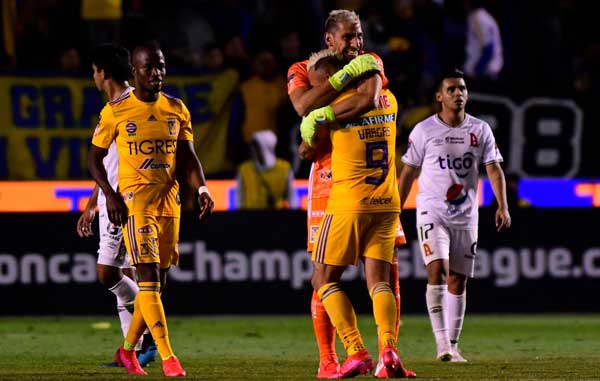 tigres3
