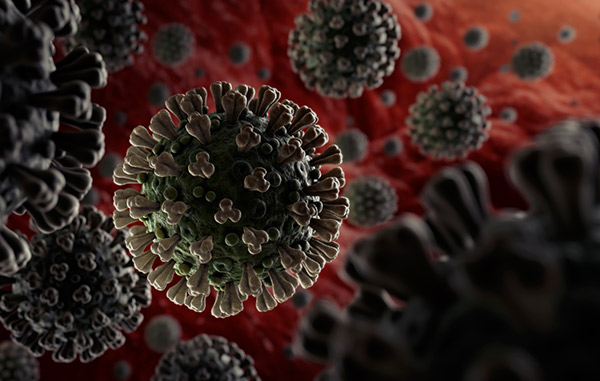Coronavirus