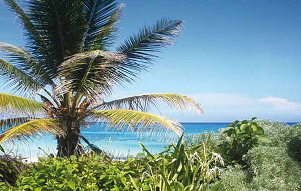 Playa-del-mundo