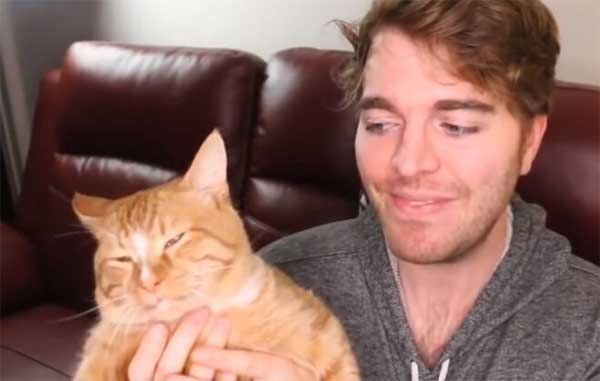 SHANE-DAWSON