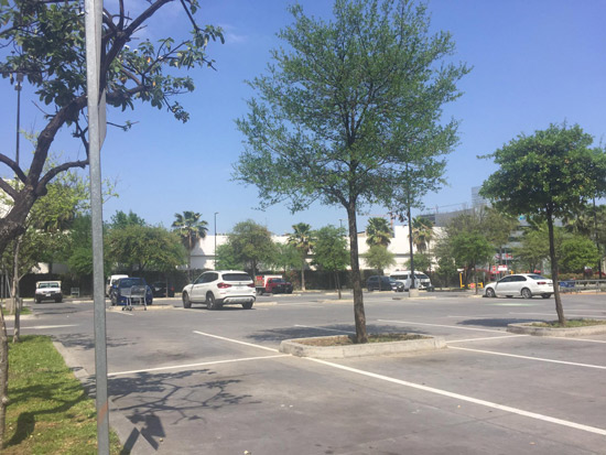 Baja afluencia en plazas comerciales de San Pedro 5 San Pedro 8