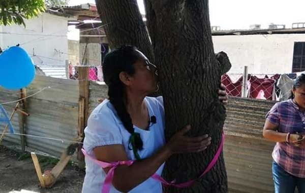 arbol