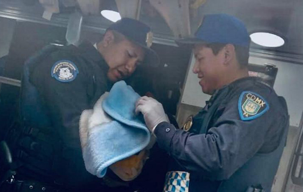 policia