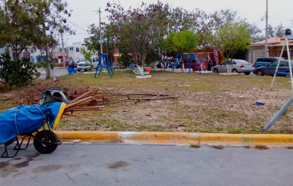 Desarrolla Municipio jornadas de Limpieza en áreas verdes 1 1 25