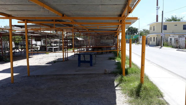Tianguistas claman ayuda en medio de la pandemia 5 Tianguis 6