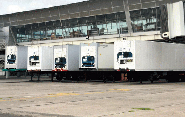 caja-refrigerantes