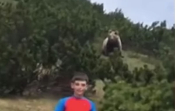 oso