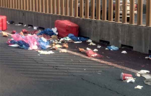 BASURA-2