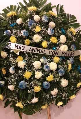 Con música rinden homenaje a don Pepe Ramos en despedida 3 FLORES