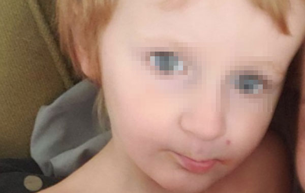 Perros protegen a niño extraviado de 3 años con autismo 1 child