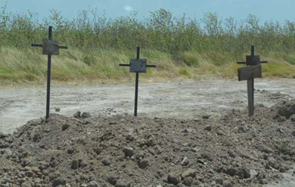 Cavan fosas en Reynosa para sepultar muertos Covid-19 2 107395668 278558803577613 2648330984077942443 n
