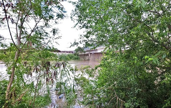 Ordenan evacuar la margen del Río Bravo 1 115997046 321428645666356 4881419115765466303 n