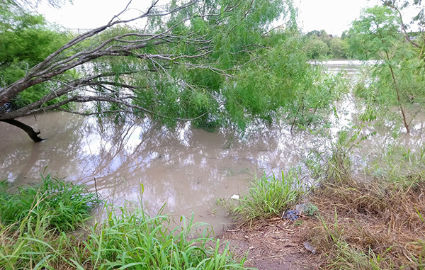 Ordenan evacuar la margen del Río Bravo 3 116044556 290299162311129 8618608484529795905 n