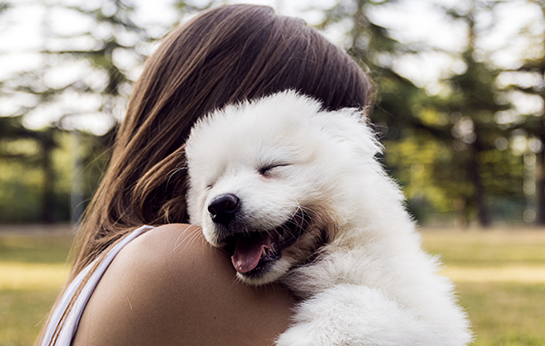 Woman playing with a small dog