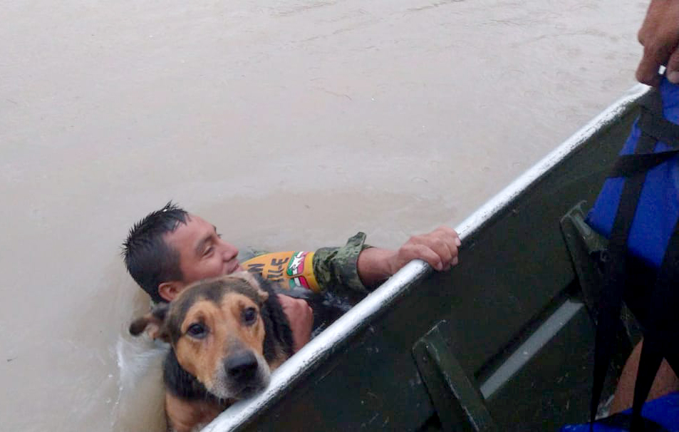 Soldado salva a perro de inundación en Reynosa FOTOS