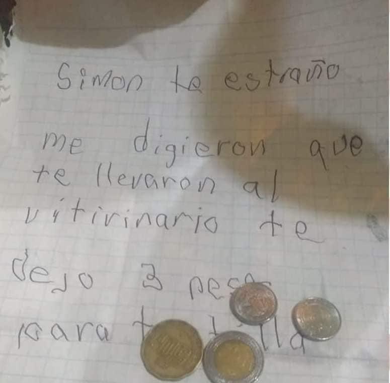 Niño sigue visitando a su perro ‘Simón’ en el albergue que lo dejó 2 3 9