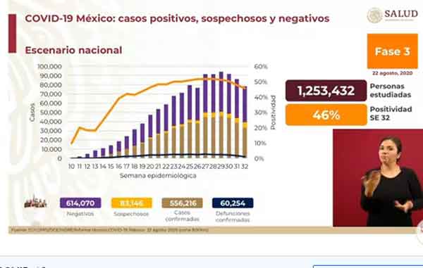 México supera los 556 mil casos positivos y 60 mil muertos 1 CASOS