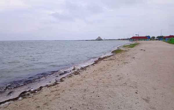 Carboneras