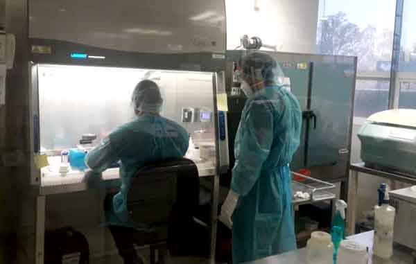 Coronavirus-Reynosa