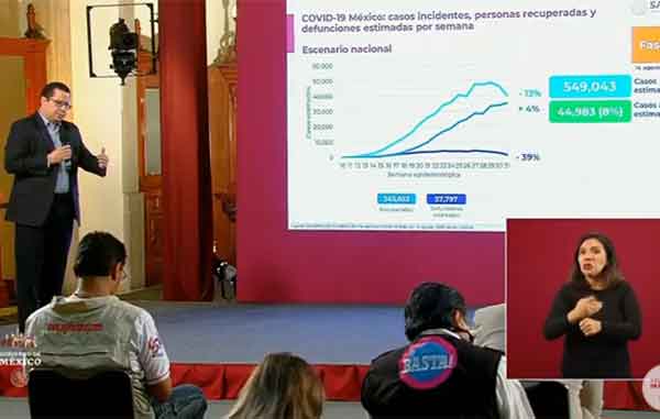 ESTIMADOS