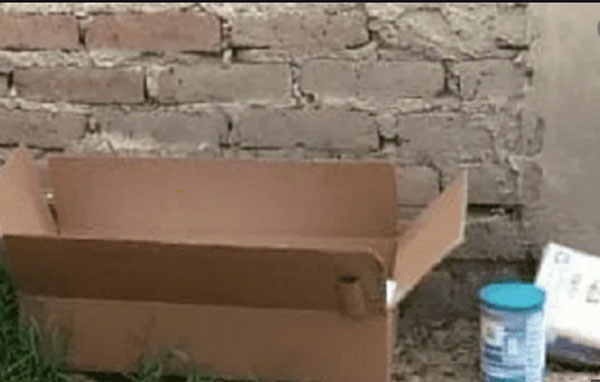 Abandonan a bebé en caja de cartón con pañales y leche en Celaya 1 b6