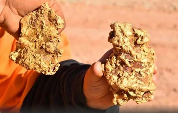 Encuentran dos pepitas de oro de 3.5 kilos 1 oro