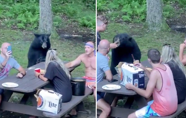 oso