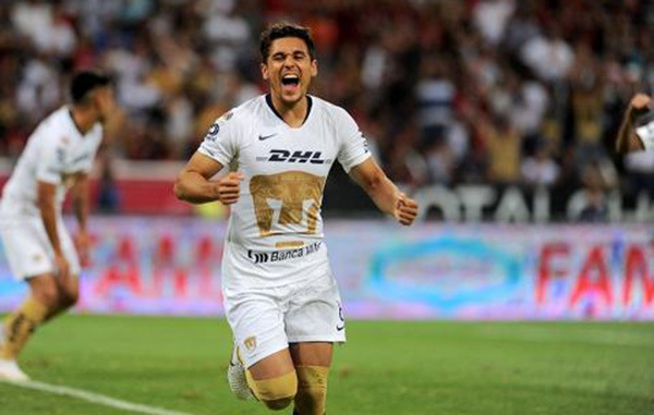 pumas