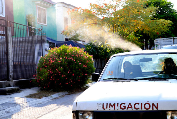 Intensifican operativos de descacharrización y fumigación en Guadalupe 3 Guadalupe 4