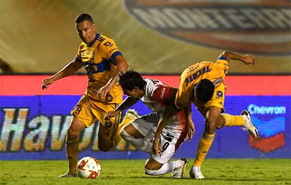 TIGRES