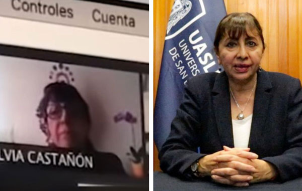 maestra