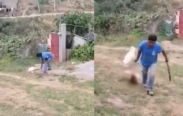 Mata-a-machetazos-a-perrita