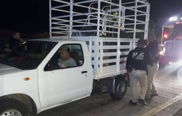 Localizan a niño que había sido robado por una amiga de su mamá (FOTOS) 2 hg