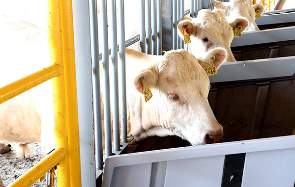UANL impulsa al campo a través de la ciencia 1 124693455 2627050984273617 1029664544035993416 n