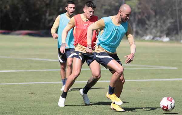 PUMAS