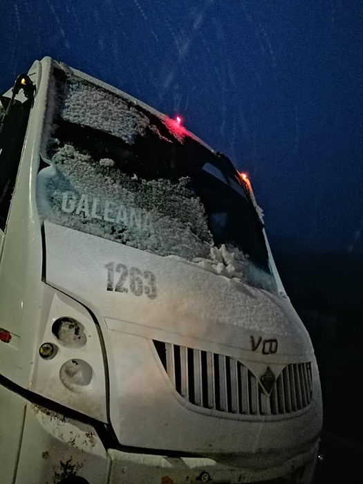 Amanece Galeana bajo nieve 2 133543623 231901675137700 3819092151073246013 n