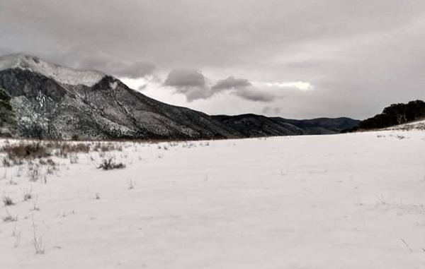 Amanece Galeana bajo nieve 3 134816389 10159457880361388 7217599208665262937 n